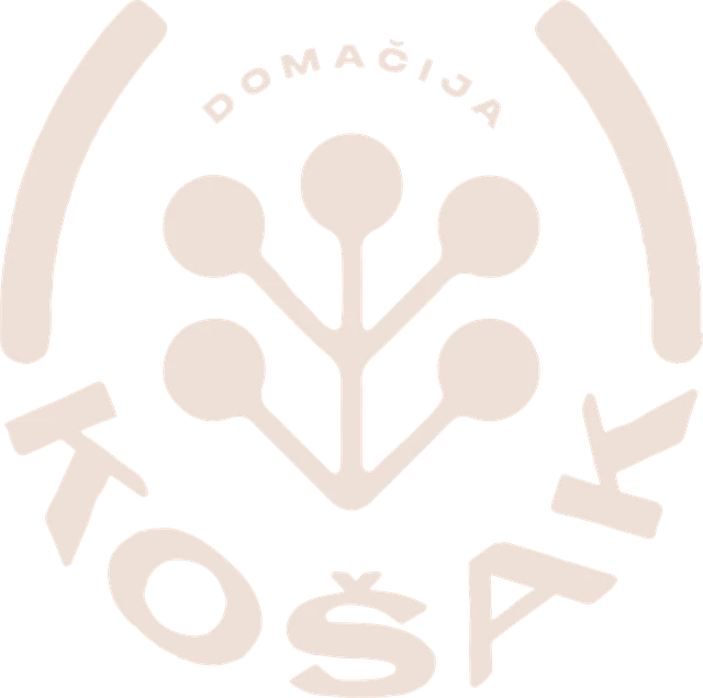 Domačija Košak
