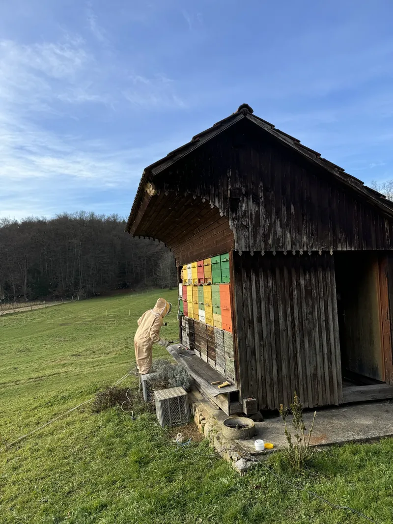 Colourful beehives beneath a traditional hayrack at the edge of the meadow.