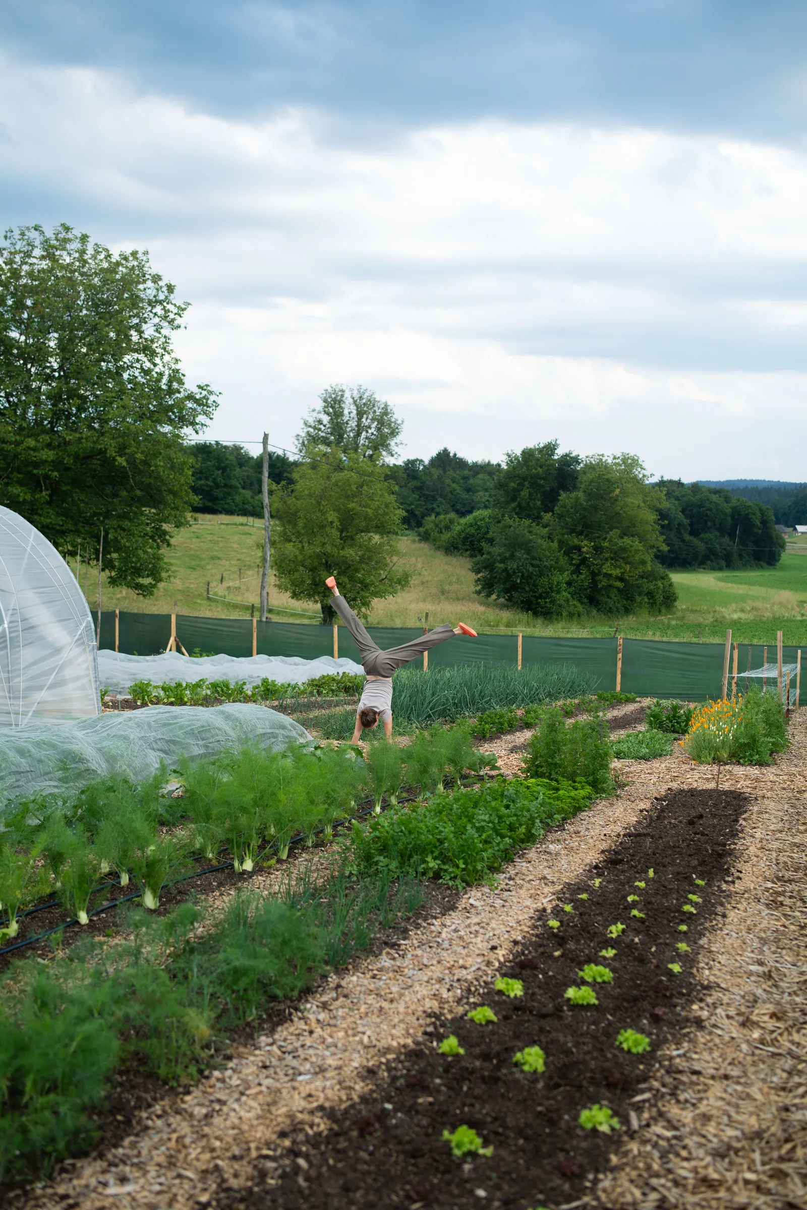 Garden beds full of vegetables, a greenhouse and rolling hills; out in the field someone playfully does a handstand.